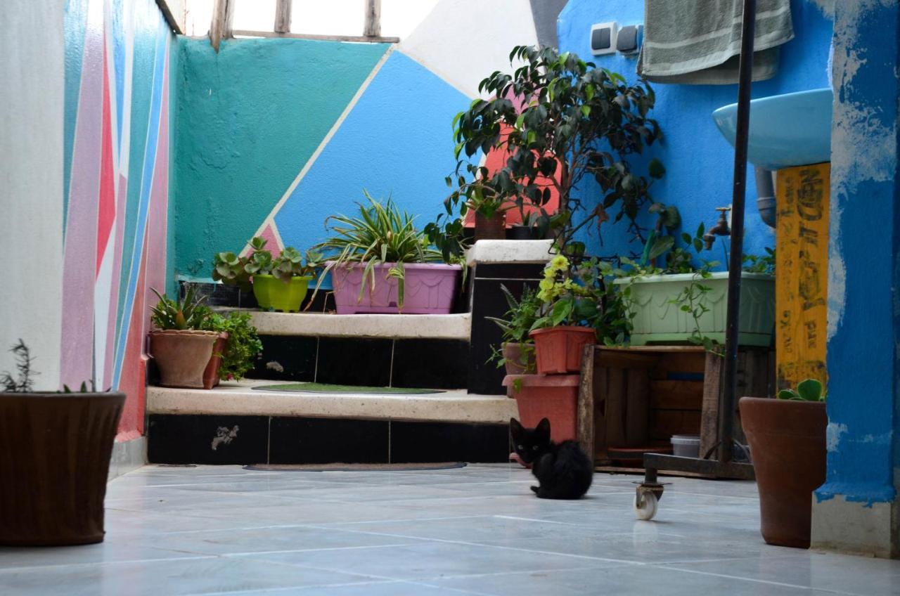 Tayought Surf Hostel טגזוט מראה חיצוני תמונה