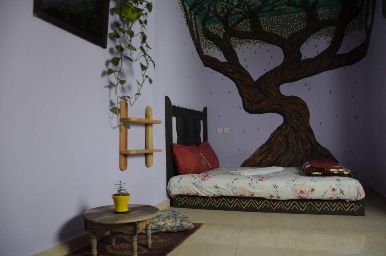Tayought Surf Hostel טגזוט חדר תמונה